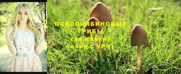 героин Абдулино
