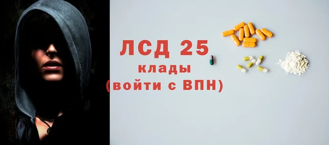 прущие грибы Алзамай