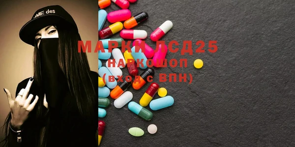 прущие грибы Алзамай