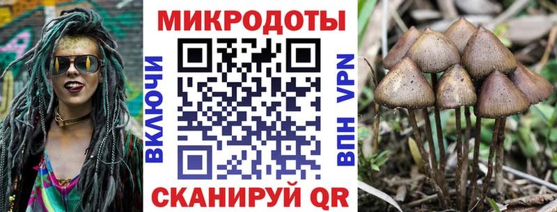 Галлюциногенные грибы мухоморы  наркотики  Клинцы 